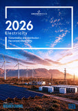 Electricity 2026: Transmission and distribution – the current constraints